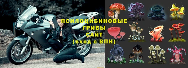 прущие крисы Абинск